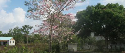 Belize land for sale