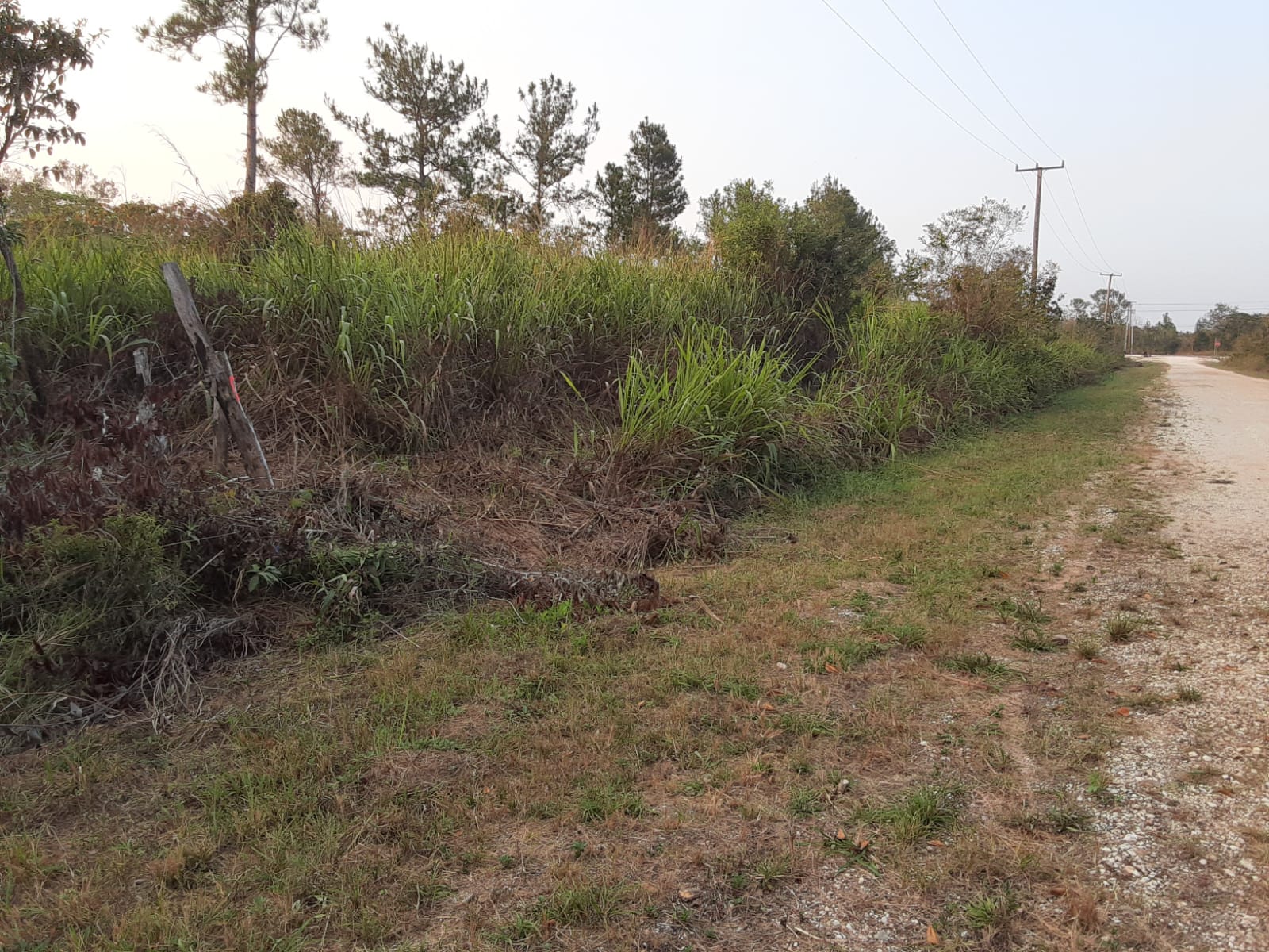 Belize land for sale