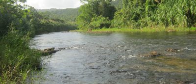 lease your Belize land