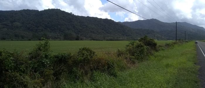 land services in Belize