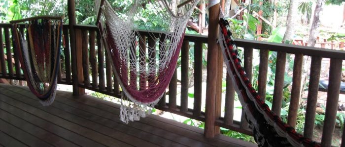 belize jungle real estate