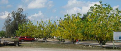 Belize land for sale